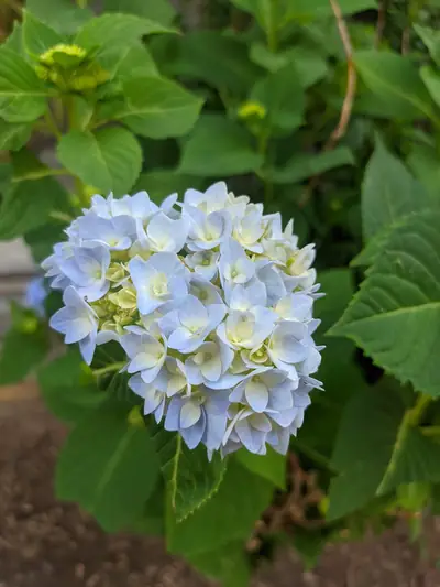 Photograph by Prakrisht Dahiya